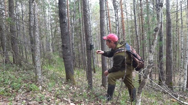 ПРИШЕЛ МЕДВЕДЬ! СТАЛО ОПАСНО У ИЗБЫ!