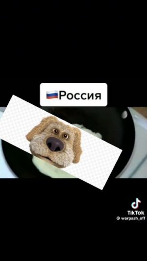 1 шуточная фаза для всех