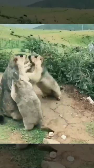 Мой двор после 12 ночи в пятницу смотреть онлайн