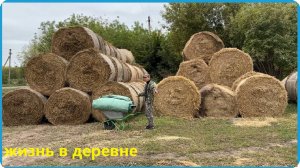ЗАГОТОВИЛИ СЕНО НА 6 КОРОВ И 11 ТЕЛЯТ ЗА ДВА ДНЯ, ЖИЗНЬ В ДЕРЕВНЕ