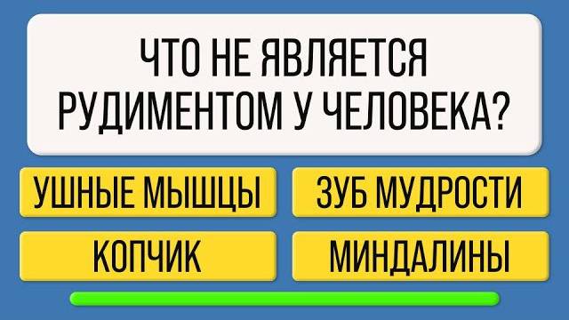 Только 1 из 5 ответит правильно на все вопросы! Тест на эрудицию