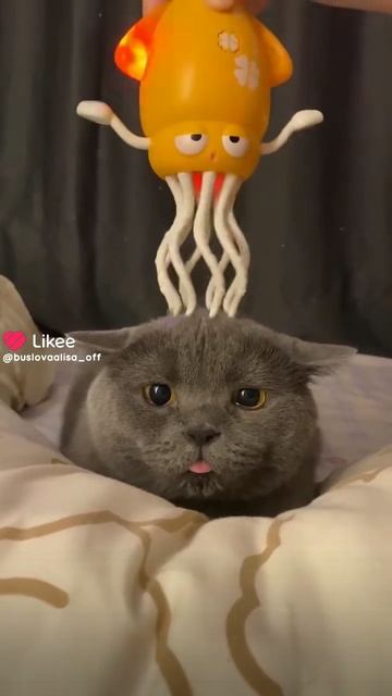 Like_7539112527299915105.mp4 смотреть онлайн