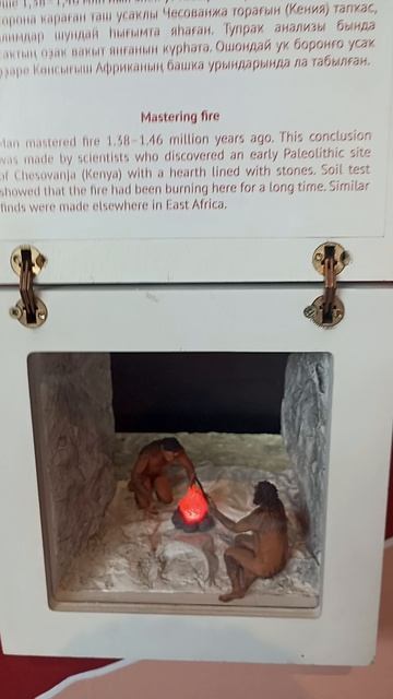 Самая главная выставка в музее Шульганташ Музей Шульган-Таш. Республика Башкортостан.  Июль 2025