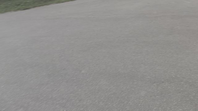 1000011642.mp4 смотреть онлайн