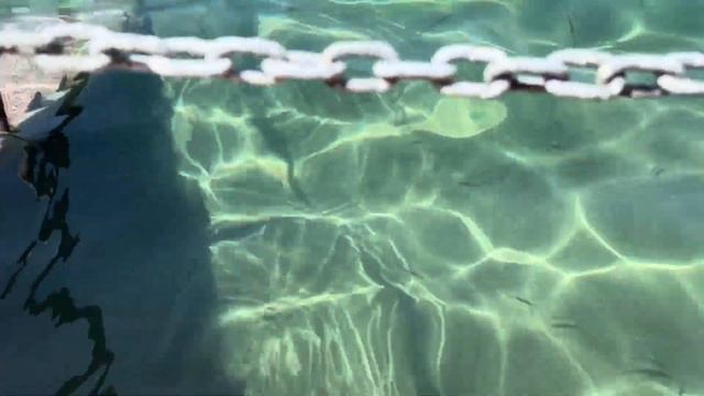 День рождения АниМы попали в райОтдых с турецкой семье/Турция/Бодрум/Ялыкавак смотреть онлайн