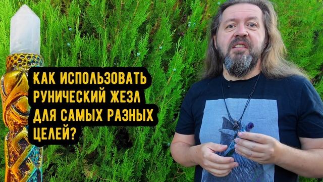 Рунический жезл: о книге смотреть онлайн