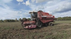 Первая уборочная... на Палессе! #28