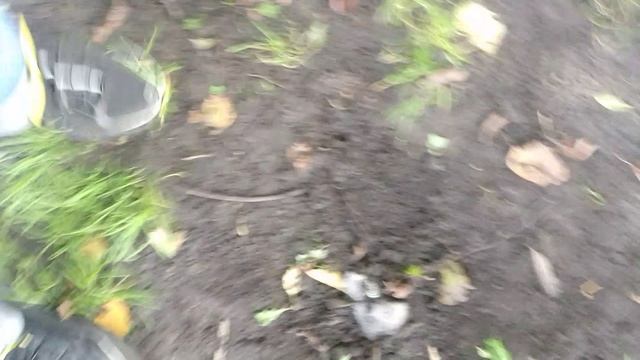 закапали лабубу секретку