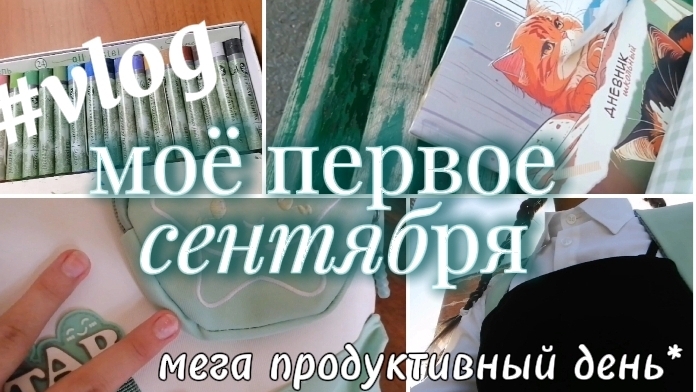Моё первое сентября 🍂, мой первый осенний влог 😍.Мега продуктивный день 🎉 #vlog смотреть онлайн