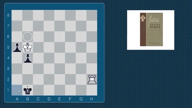 Шахматы