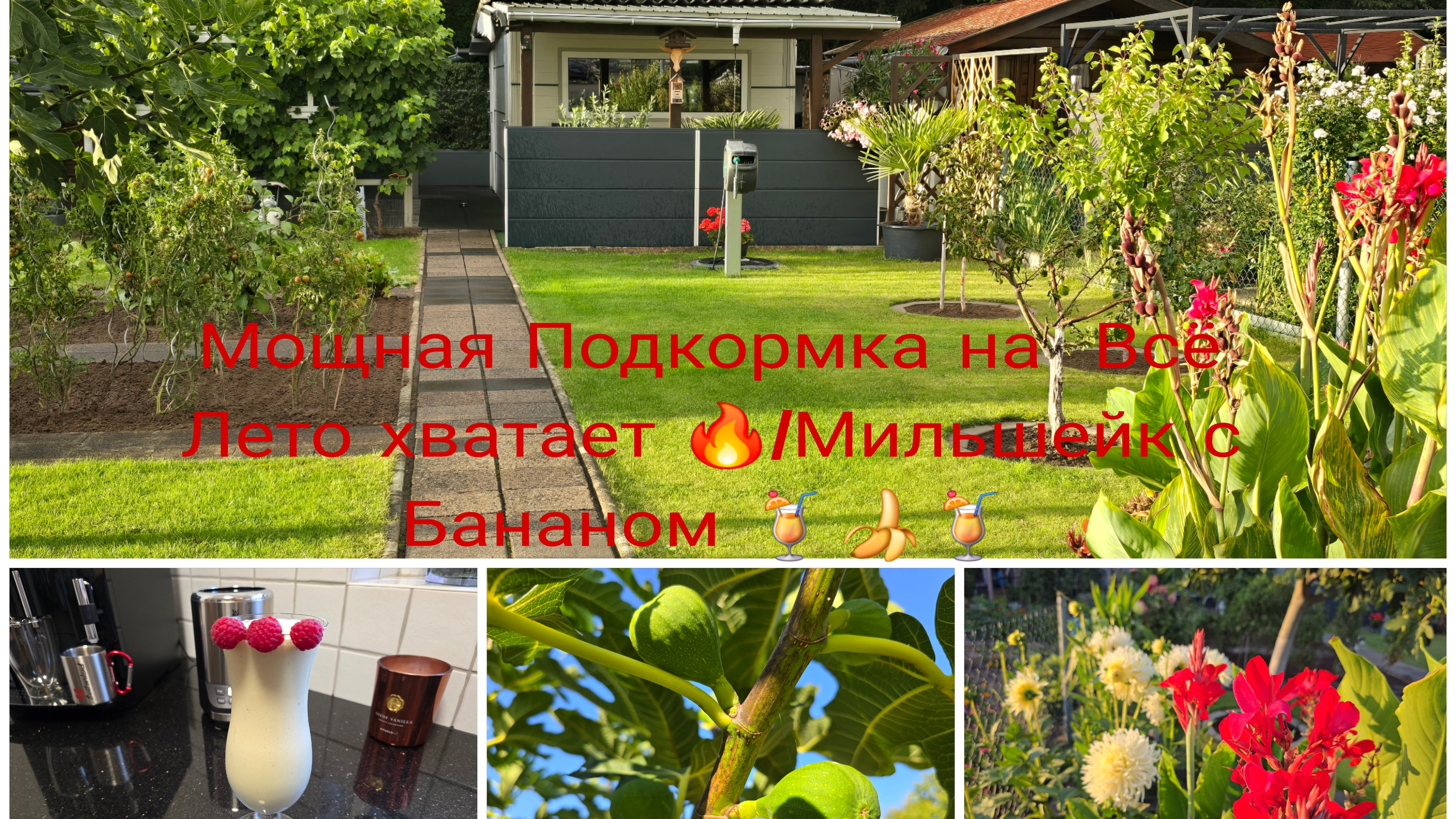 Наша Дача в Германии/Последняя подкормка в этом году/Коктейль 🍹🔥с Мороженым🍦 и 🍌 смотреть онлайн