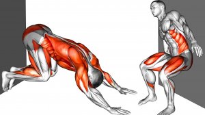 Упражнения на растяжку и силу дома у стены