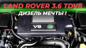 Дизель мечты | Подробный разбор легендарного мотора Land Rover 3.6 TDV8