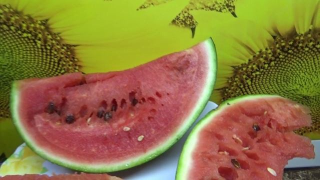 Съела последний арбуз 2025 года. Очень сладкий и вкусный Огонек!