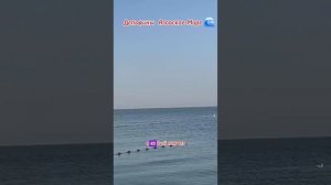 🐬 ДЕЛЬФИНЫ АЗОВСКОЕ МОРЕ 🌊 2025 СТ ДОЛЖАНСКАЯ «КАЗАЧИЙ БЕРЕГ» ПЕРЕЕЗД НА КУБАНЬ,ПЕРЕЕЗД НА ЮГ