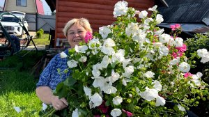 Дачные дела. Мои парни большие молодцы  убрали большое количество травы.