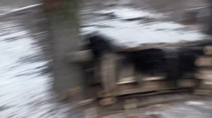 В изоляции 11 сезон 8 серия «Хроники куницы» (документальный сериал, 2024)