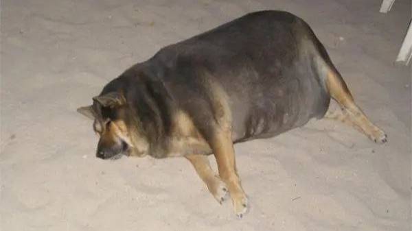 ФРИСТАЙЛО смотреть онлайн