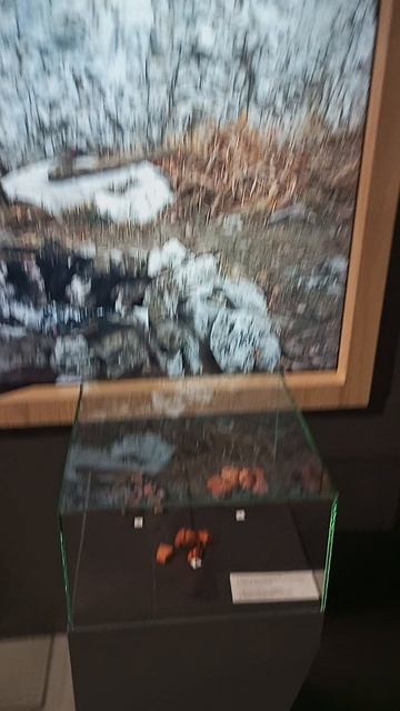 Лучшие кадры из музея Музей Шульган-Таш. Республика Башкортостан.  Июль 2025