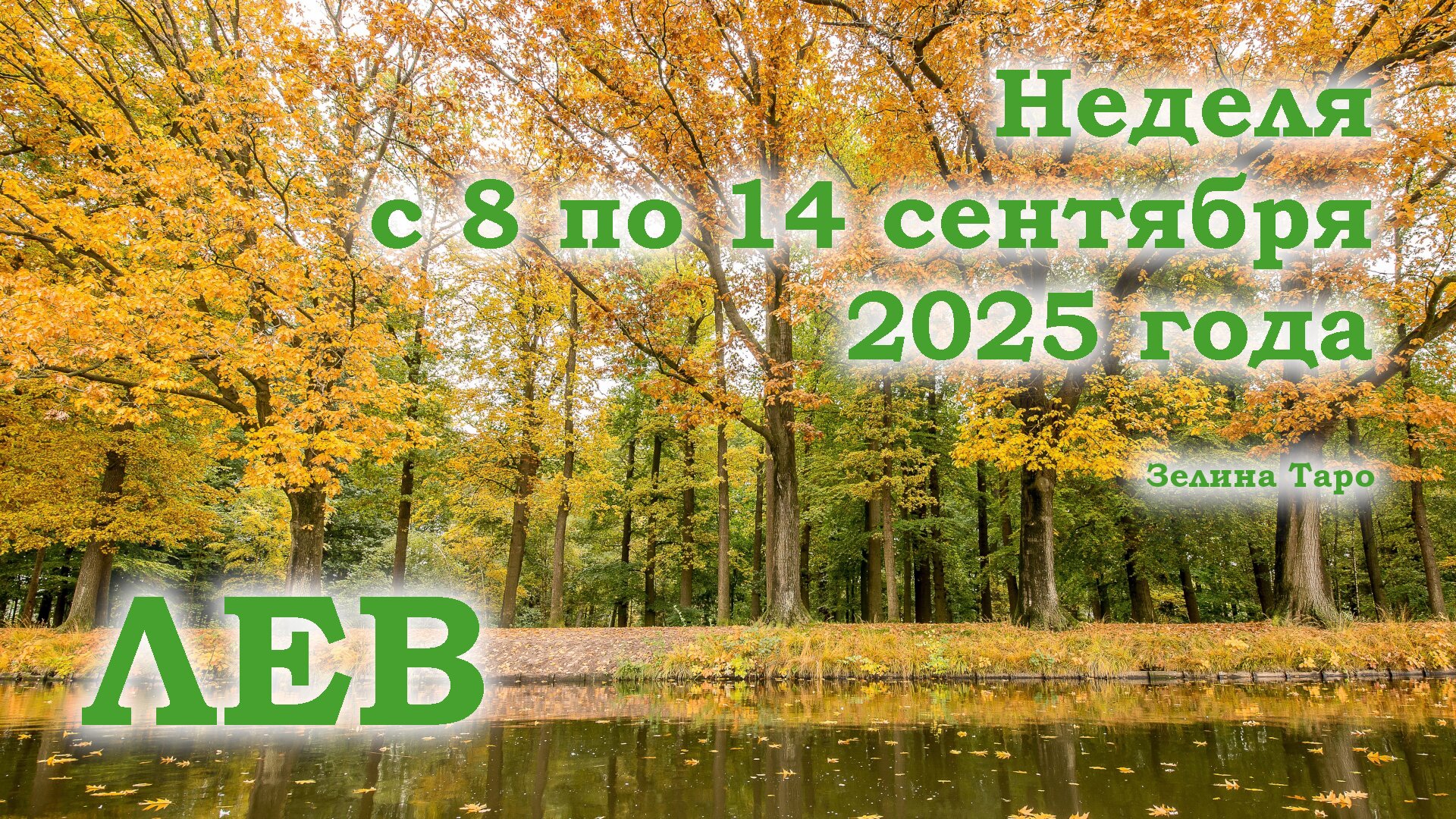 ЛЕВ | ТАРО прогноз на неделю с 8 по 14 сентября 2025 года