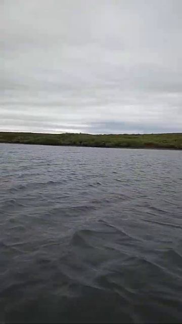 Лодочный мотор sharmax 3.5 lite смотреть онлайн