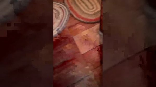 на даче . разговариваем и выполняю ваши задания.мой ТГК https://t.me/PURUNAMIR