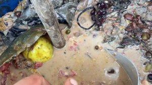 Новые свойства барматухи.