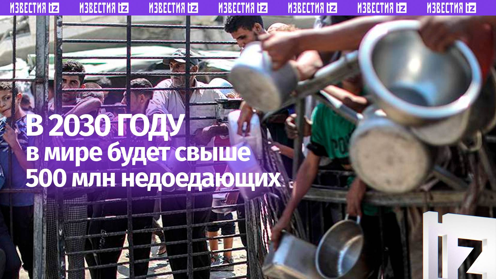 В ФАО сделали прогноз по числу голодающих к 2030 году