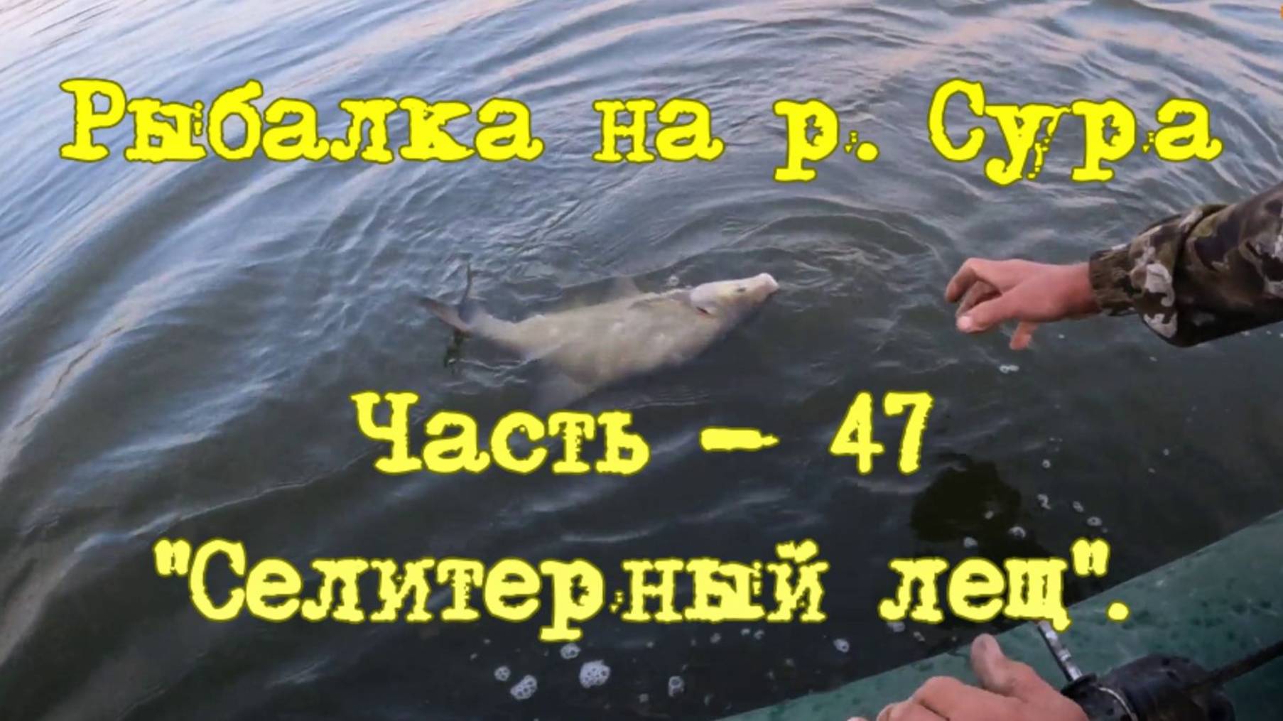 Рыбалка на р. Сура. Часть - 47. "Селитерный лещ". смотреть онлайн