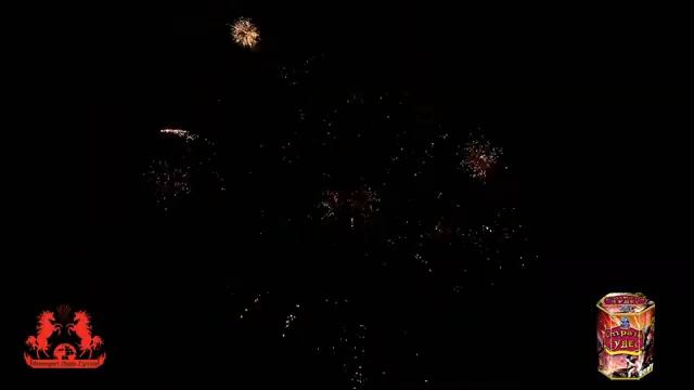 FP-B314 Страна чудес смотреть онлайн