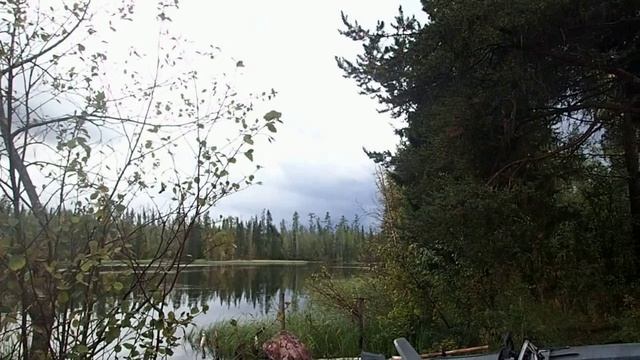 по Соянским притокам за хариусом смотреть онлайн