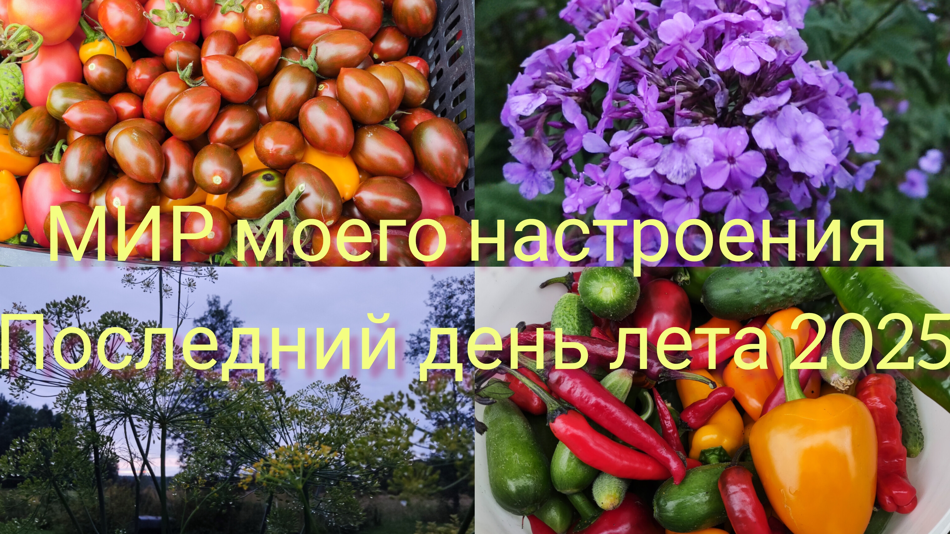 31.08.25 Последний день Лета 2025.Две дачи в один день. смотреть онлайн