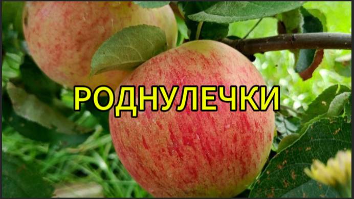 Роднулечки смотреть онлайн