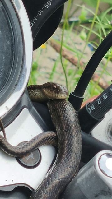 находка стоянка смотреть онлайн