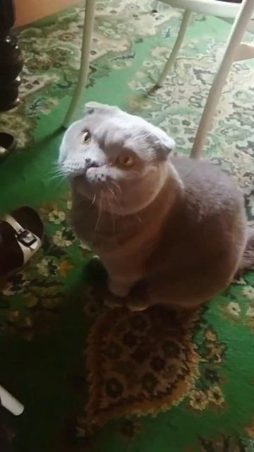 Собеседник