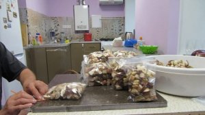 Заготовка в морозилку свежих грибов