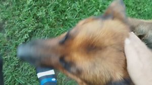 Надежная Охрана