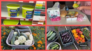 Купила КРАСКУ. Заехала в МАГНИТ. Работаем в ОГОРОДЕ.