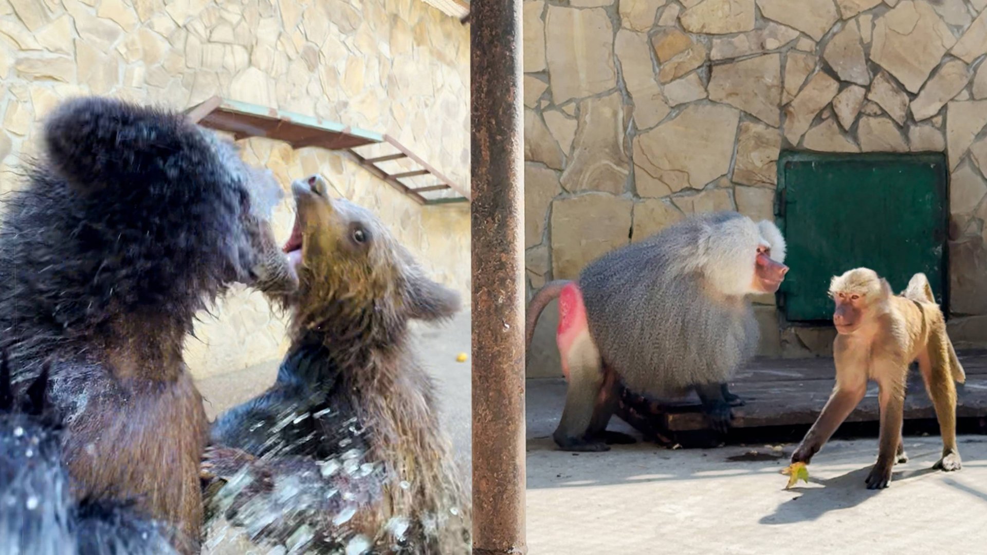 Люся - сплошная неожиданность! Лида снова не беременна, а Топа ВПЕРВЫЕ полезла КУПАТЬСЯ при нас! смотреть онлайн