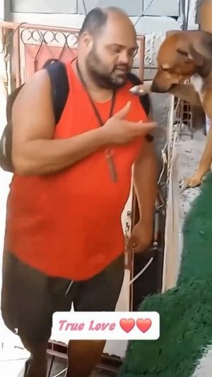 Последние ангелы на Земле!