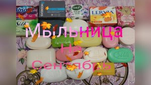 Мыльница на Сентябрь