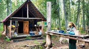 Согрела Баня в Лесу / 2 Дня в Тайге в Избе / Сбор ягод на Зиму