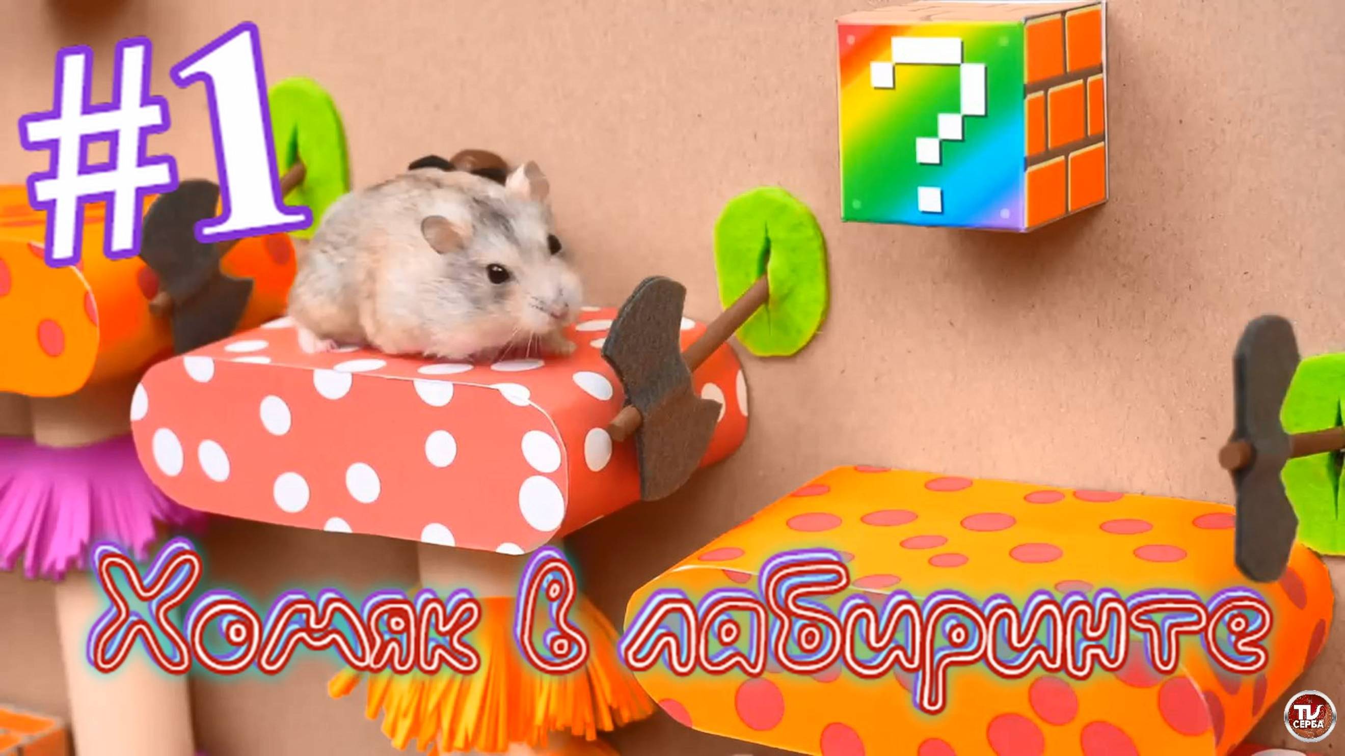 Хомяк в лабиринте (1 серия) смотреть онлайн