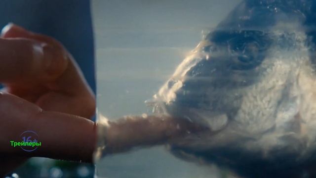 Грозовой перевал. Фильм 2026. Русский трейлер фильма. смотреть онлайн