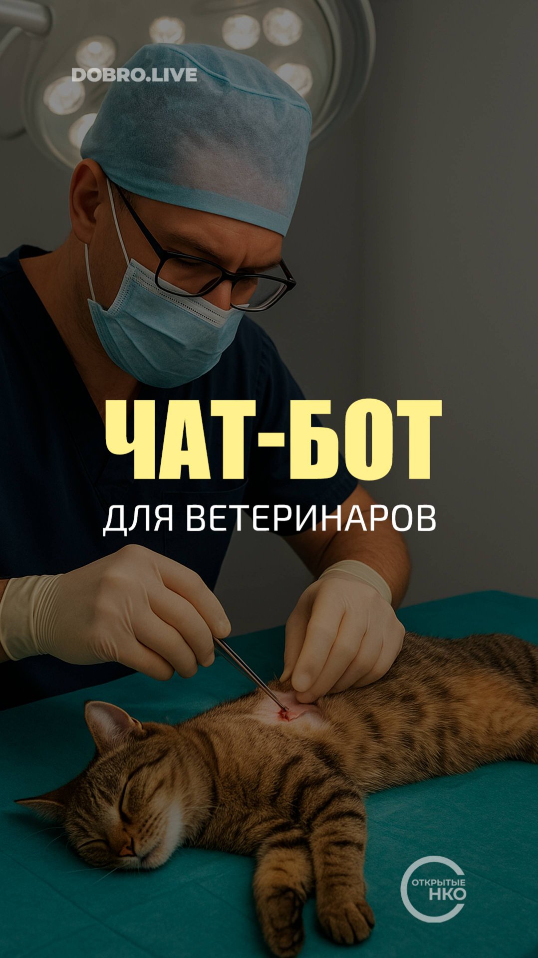 Зоозащитники создадут чат-бот «Спасенные дикие» смотреть онлайн