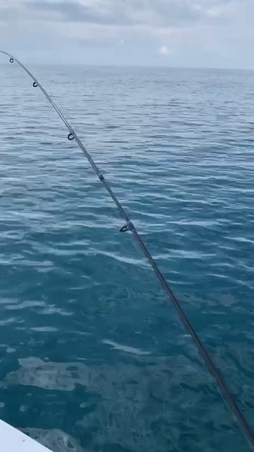 Мерланги. смотреть онлайн