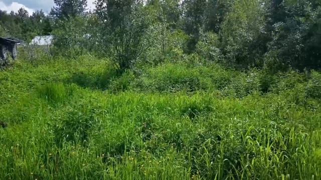 0906 смотреть онлайн