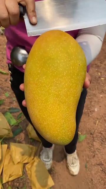 как я хочу уехать отсюда задолбала эта работа)))