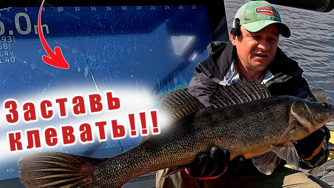 ВЫШЕЛ НА МЕЛЬ!!! ОСЕННИЙ КЛЁВ СУДАКА!!! НУЖНО ВЗЯТЬ ДВА КОМПЛЕКТА!!! смотреть онлайн