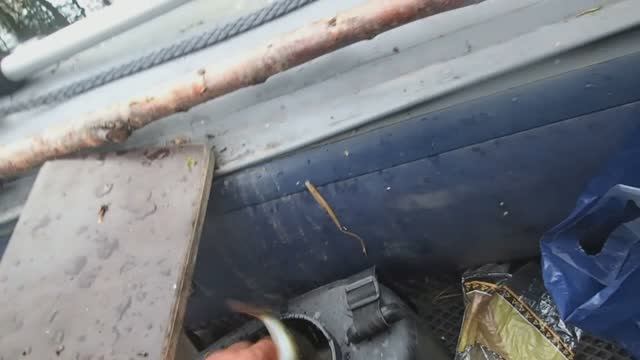 в поисках хариуса смотреть онлайн